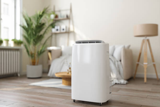 Best Ductless Mini-Split Systems in Sunland Park, NM